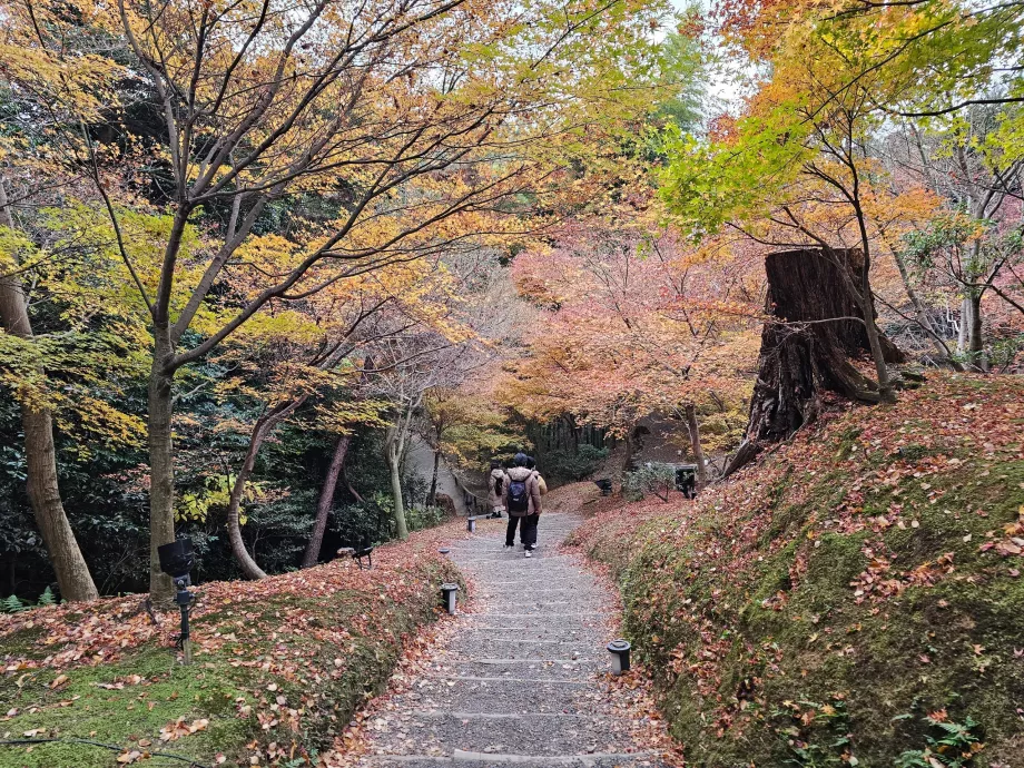 Templo Kodai-ji, Jardins