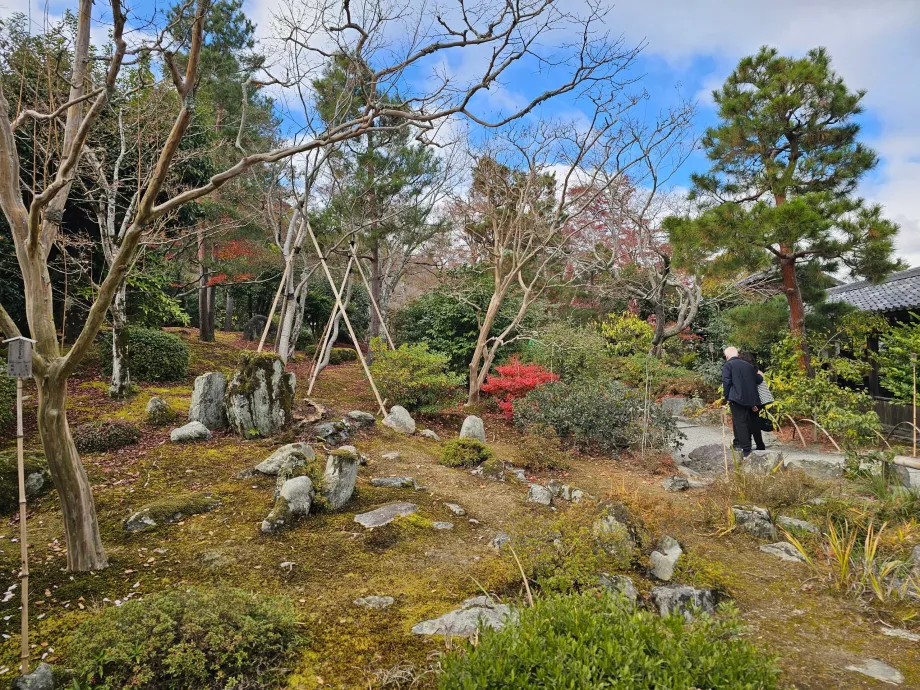 Tenryu-ji, jardins
