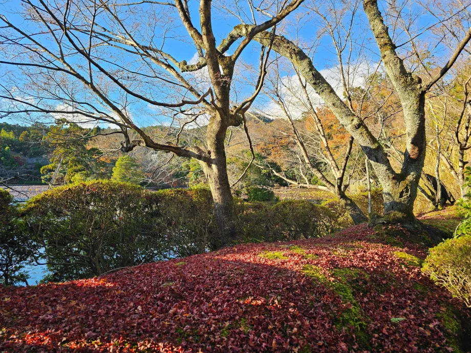 Templo Ryoan-ji