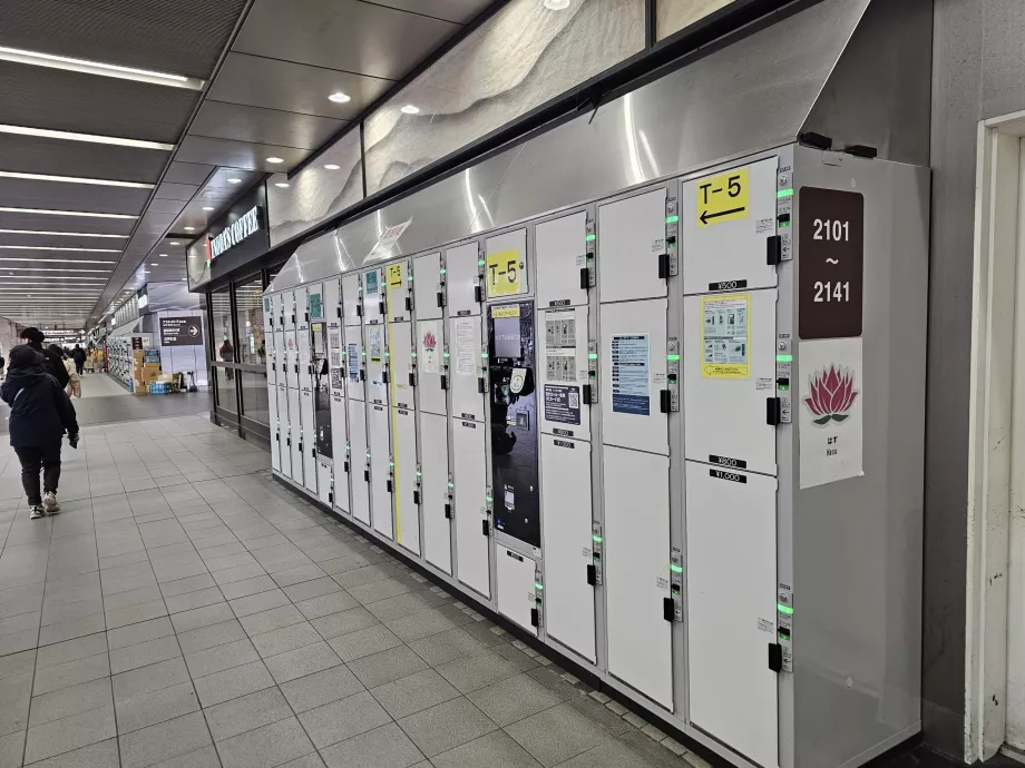 Cacifos para guardar a bagagem