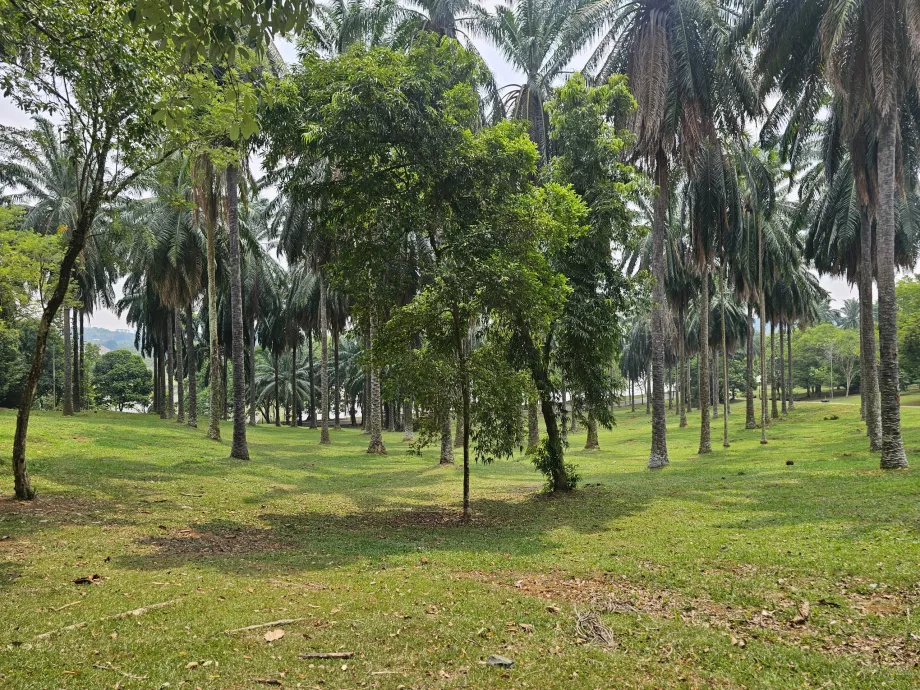 Jardim botânico