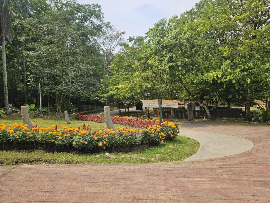 Jardim botânico