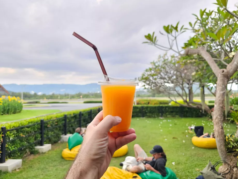 Último fresco antes da partida da Tailândia