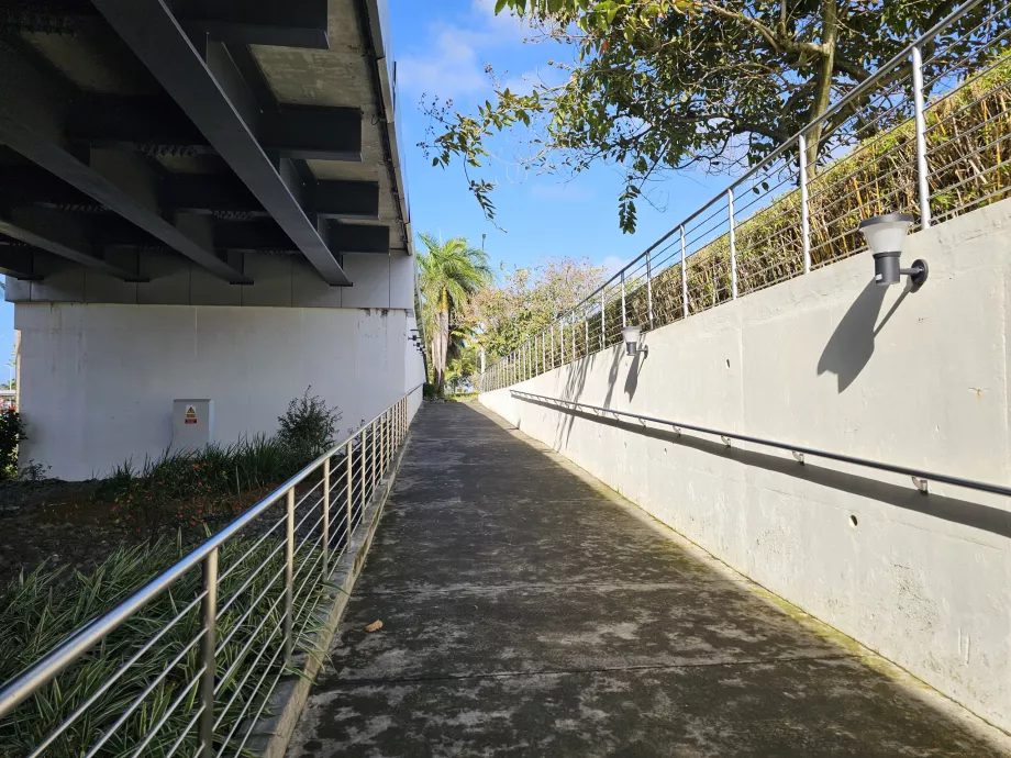 O caminho para a paragem de autocarro