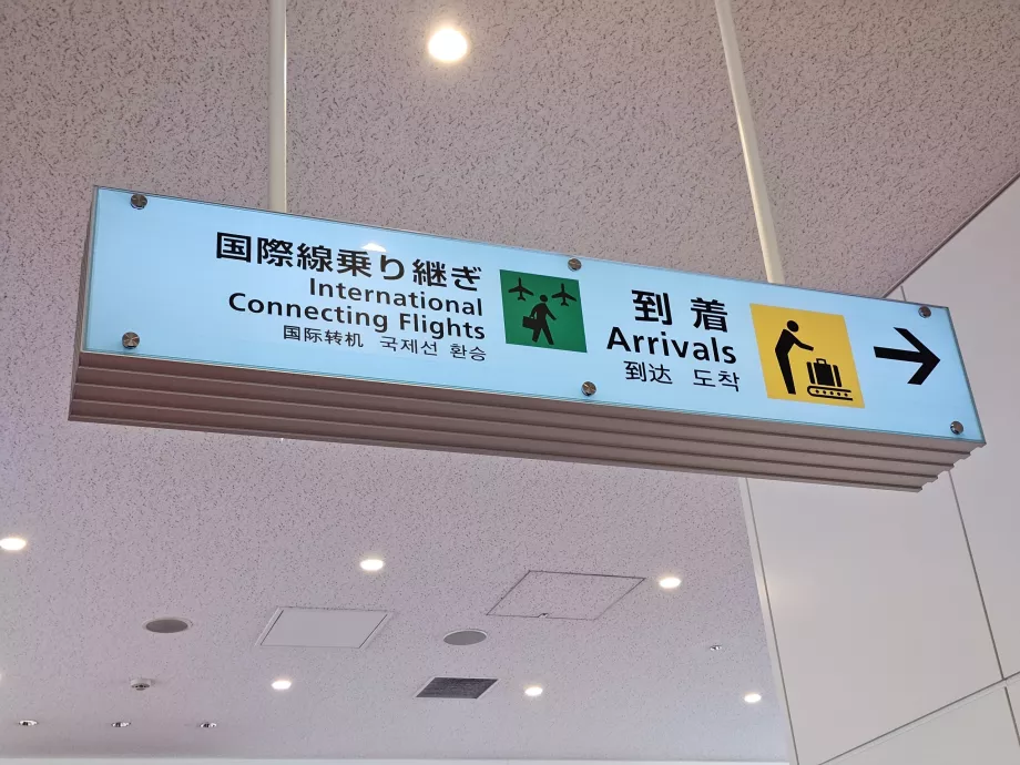 Voos internacionais de ligação