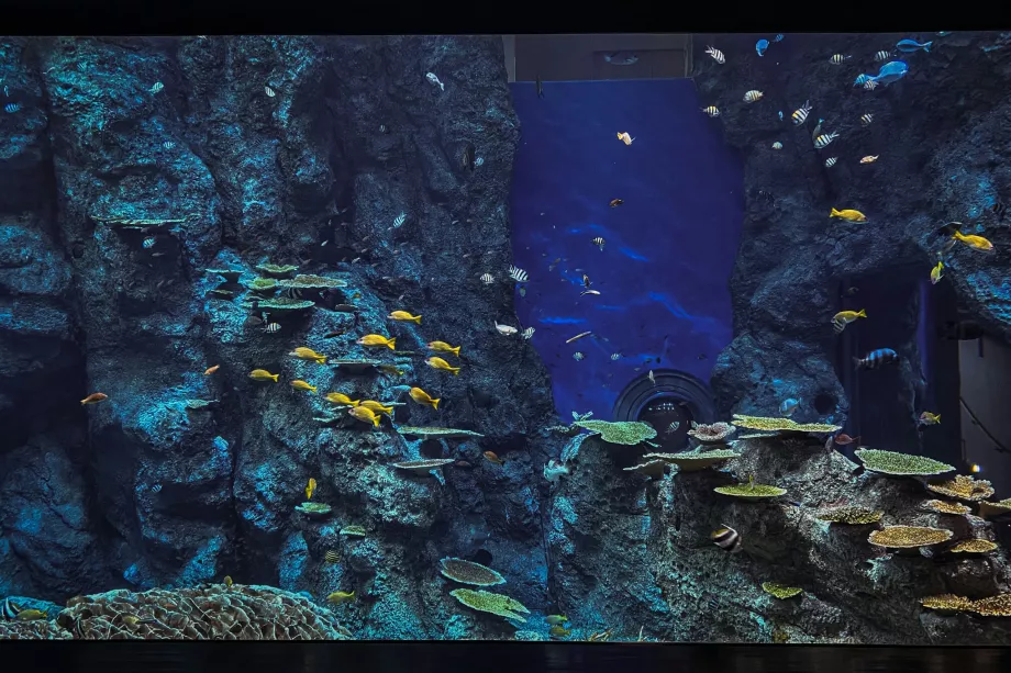 Parque de vida marinha