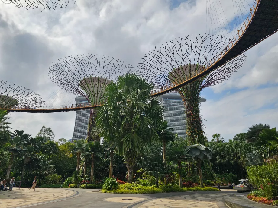 Gardens by the Bay, OCBC Skyway