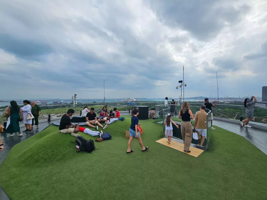 Observatório Supertree