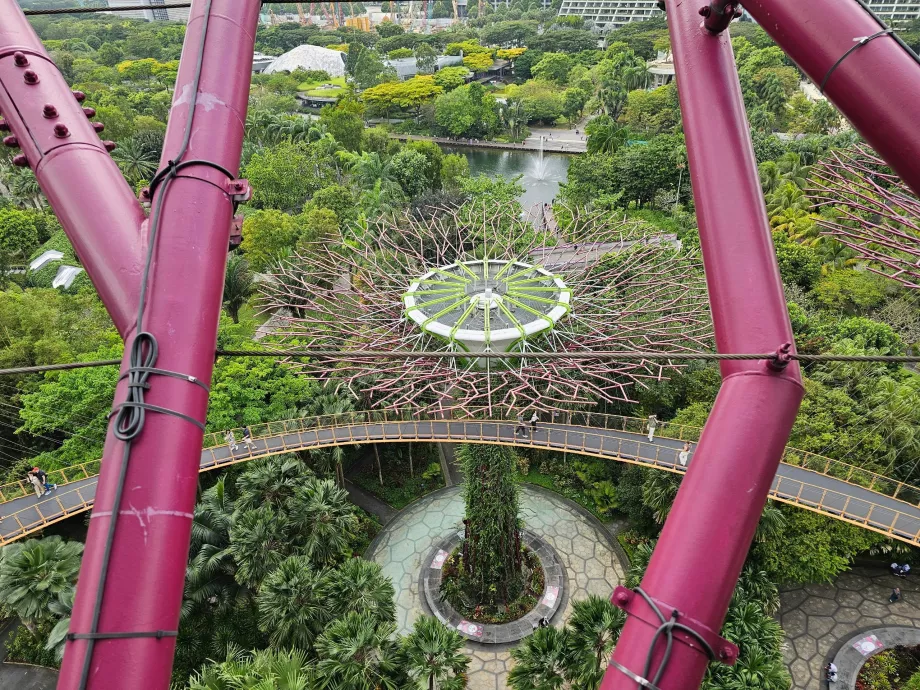 Observatório Supertree