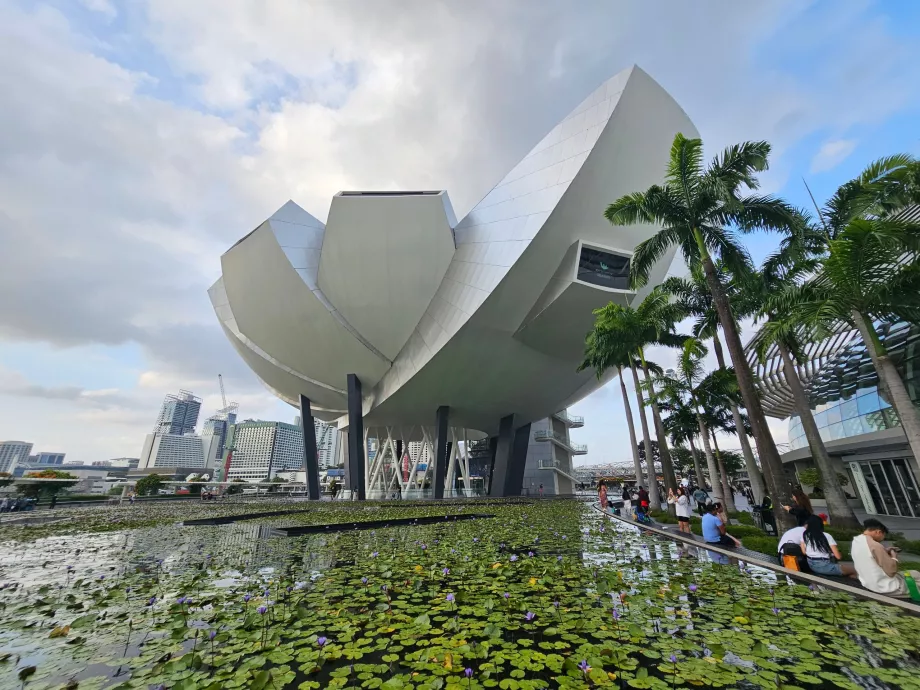 Museu de Arte-Ciência