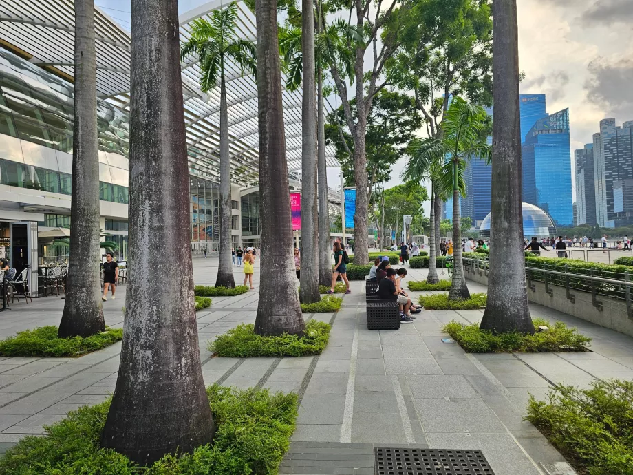 Passeio marítimo em frente ao MBS