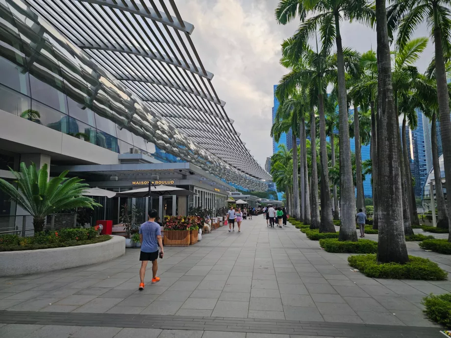 Passeio marítimo em frente ao MBS