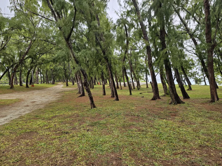 Parque em Belle Mare