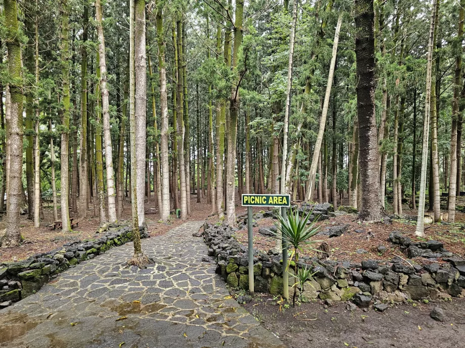 Parque nacional de Bras d'Eau