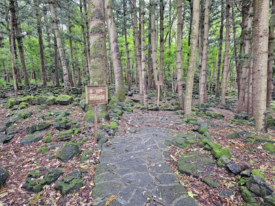 Parque nacional de Bras d'Eau, percurso pedestre