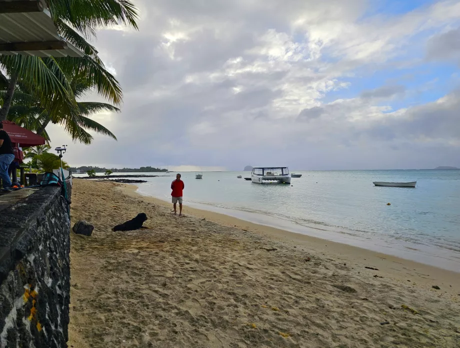 Praia de Grand Gaube