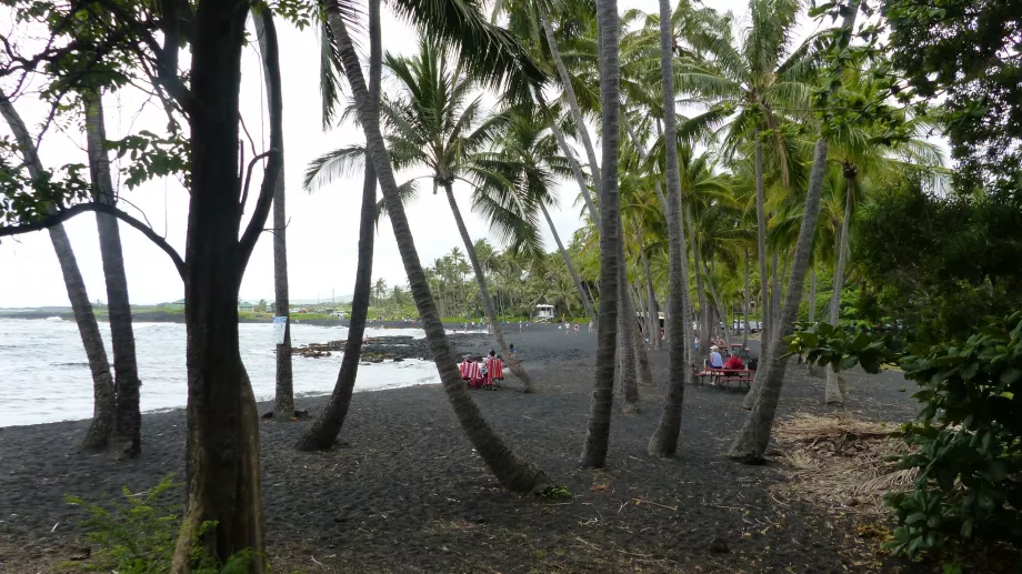 Palmeira na praia de Punaluu