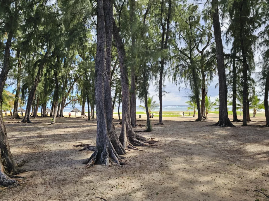 Estacionar na praia de Flic en Flac