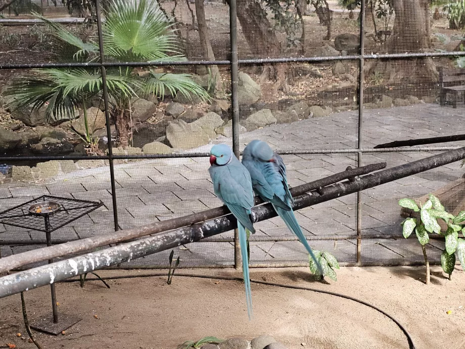Zoo de Casela