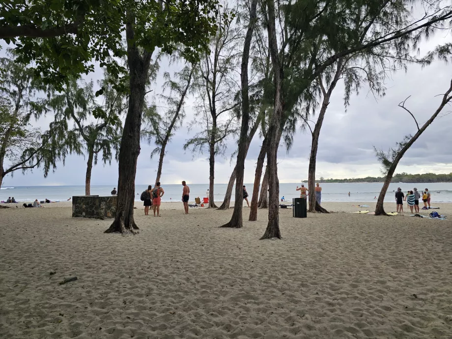 Praia de Tamarim