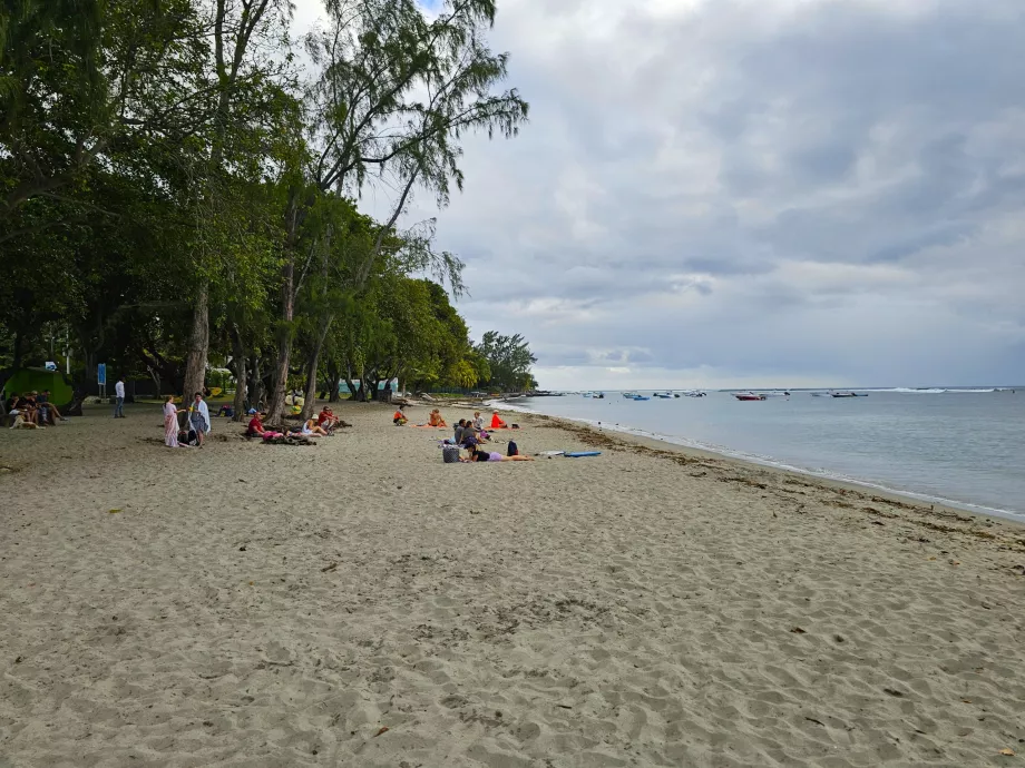 Praia de Tamarim