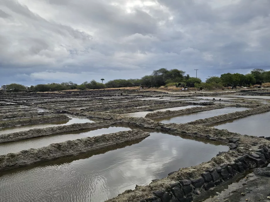 Campos de sal de Tamarim