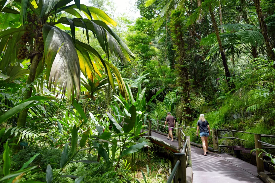 Jardim Botânico Tropical do Havai