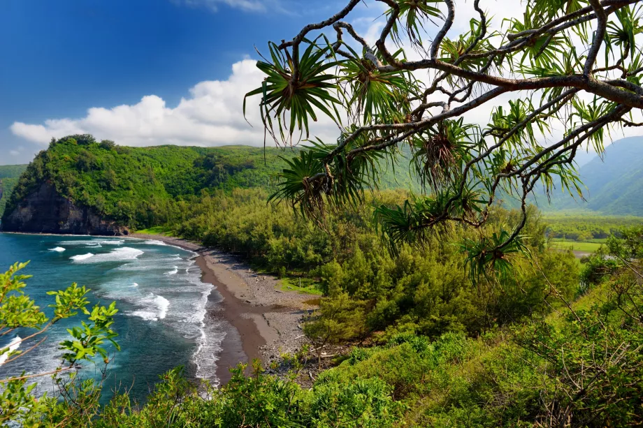 Trilho do Pololu