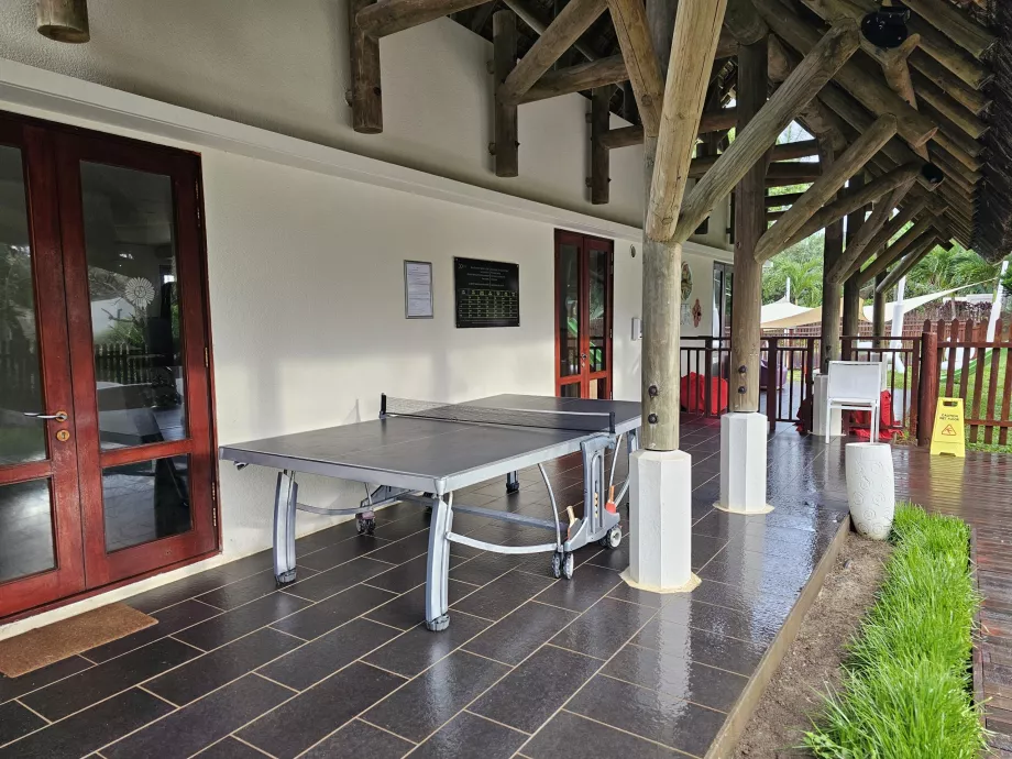 Ténis de mesa
