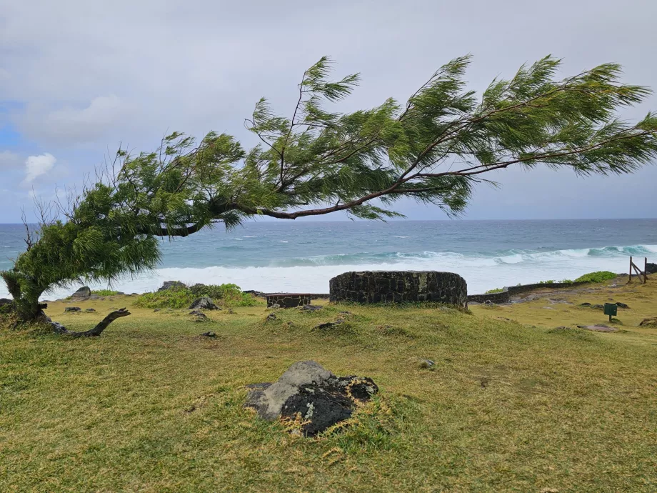 As falésias da praia de Gris Gris