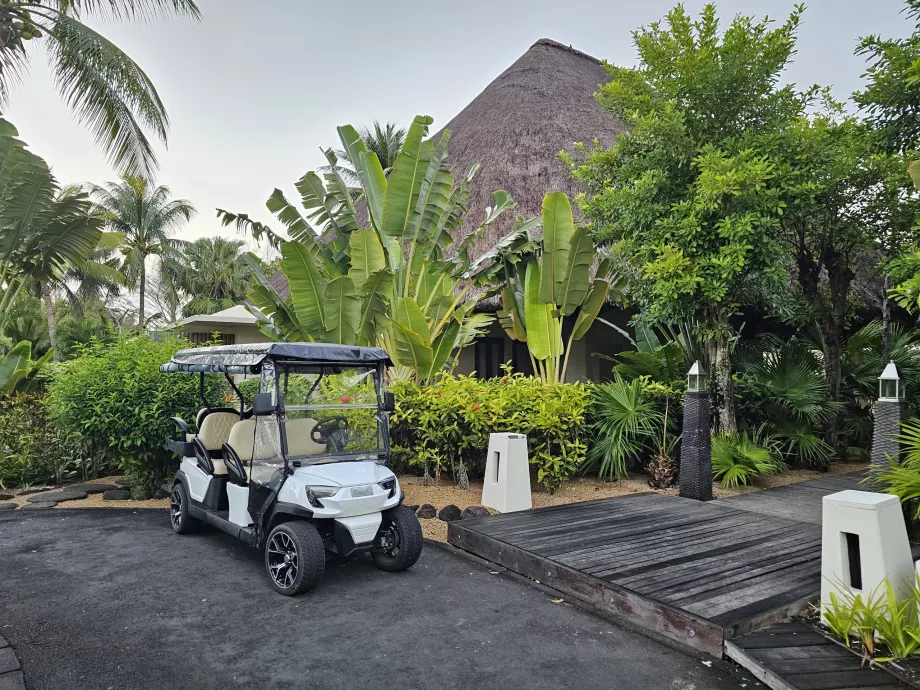 Carro de golfe