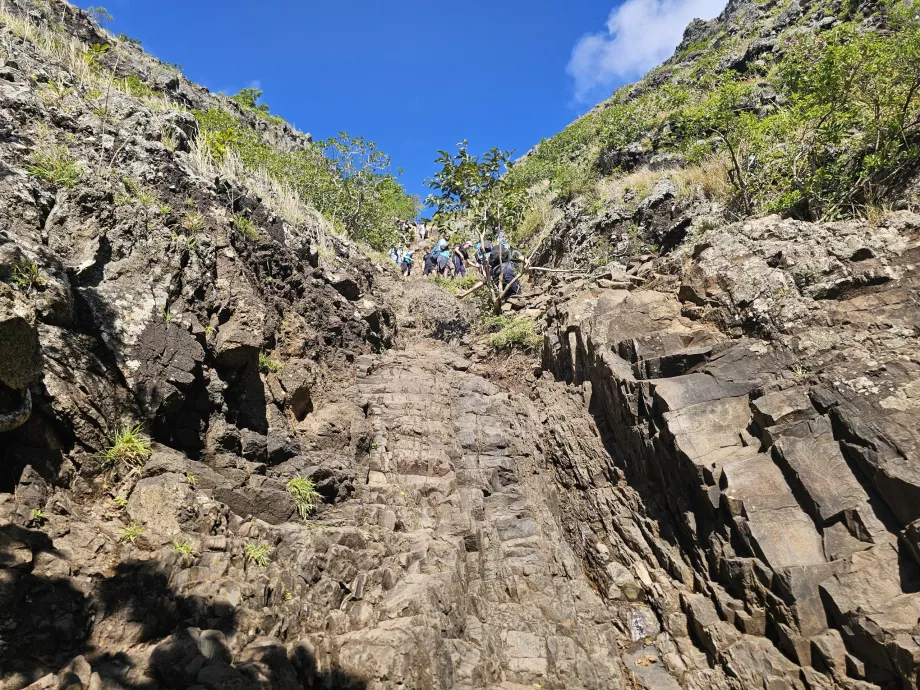 Secção de escalada