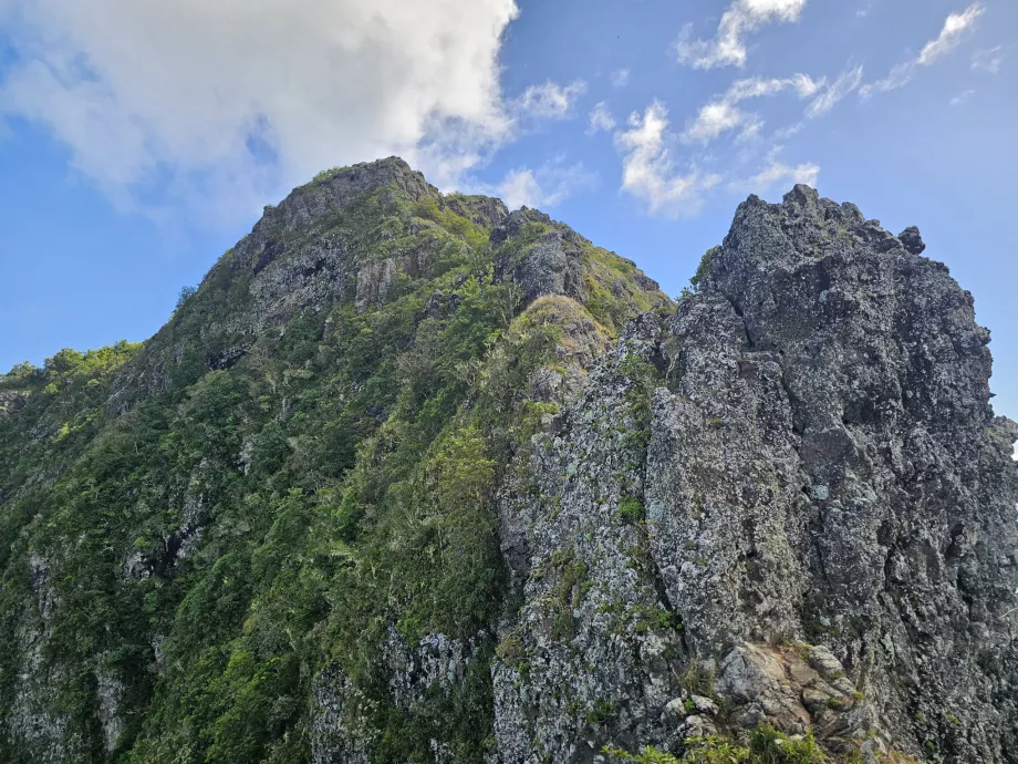 O verdadeiro ponto alto de Le Morne