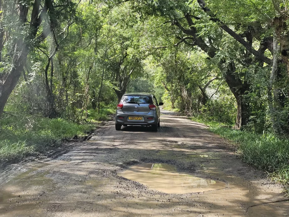Estrada de acesso a Le Morne