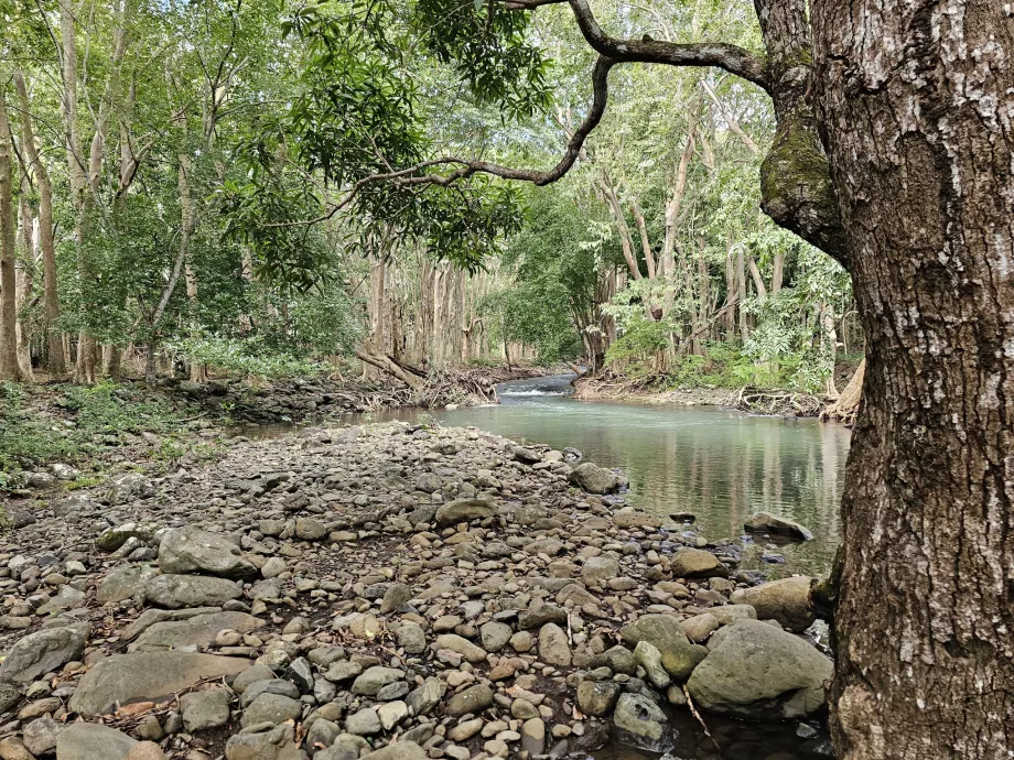 Parque Nacional das Gargantas do Rio Negro