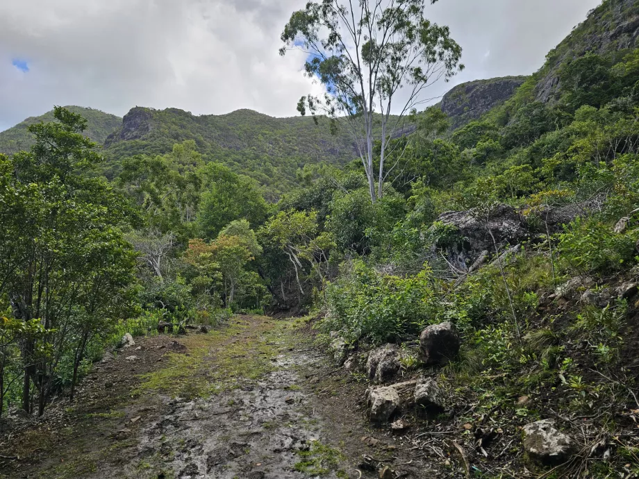 Parque Nacional das Gargantas do Rio Negro