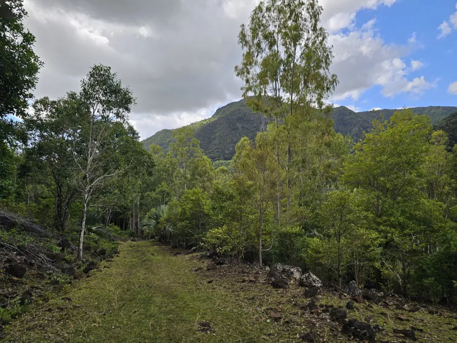 Parque Nacional das Gargantas do Rio Negro