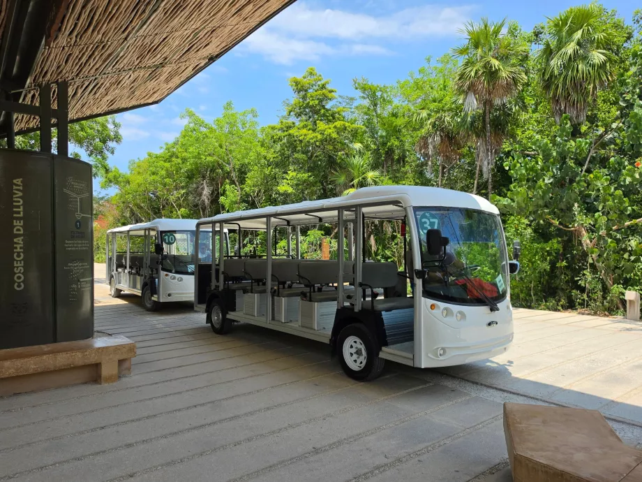 Sítio Arqueológico de Tulum, transporte em autocarro elétrico