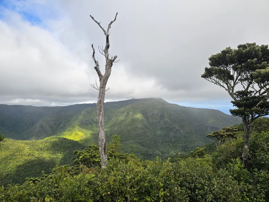 Vista do Machabee Loop