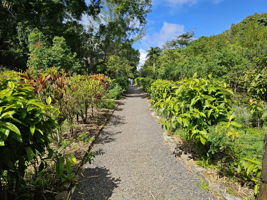 Saint Aubin, jardim botânico