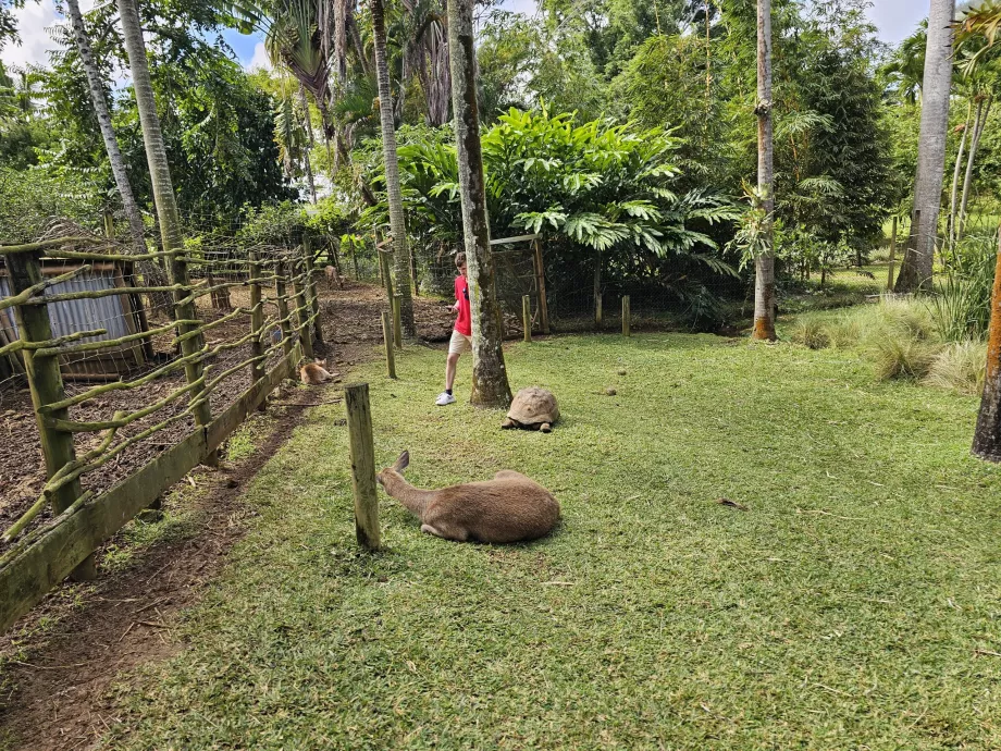 Saint Aubin, mini-fazenda