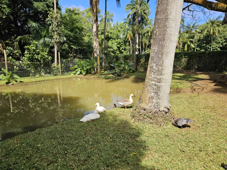 Saint Aubin, mini-fazenda