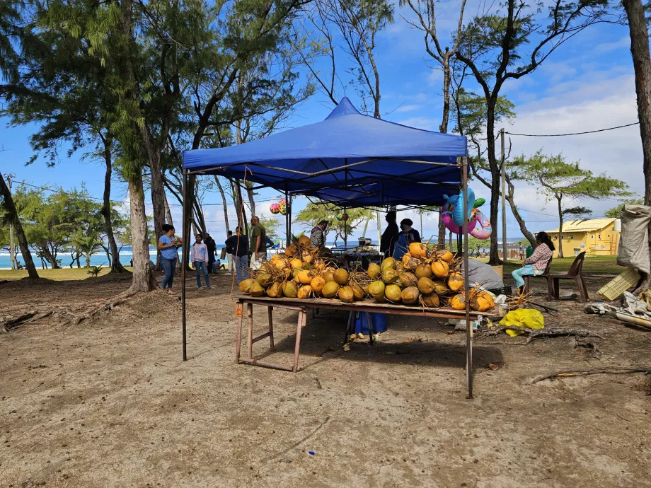 Cocos na praia