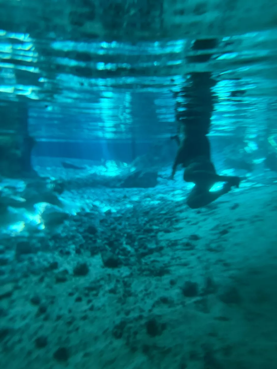 Uma vista subaquática no Gran Cenote