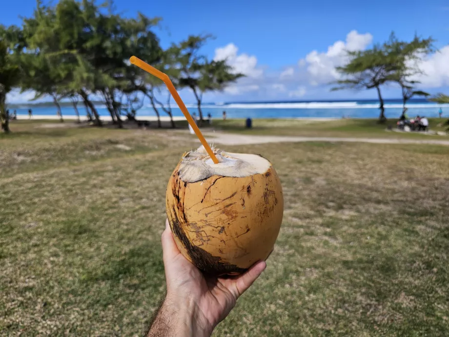 Côco na praia