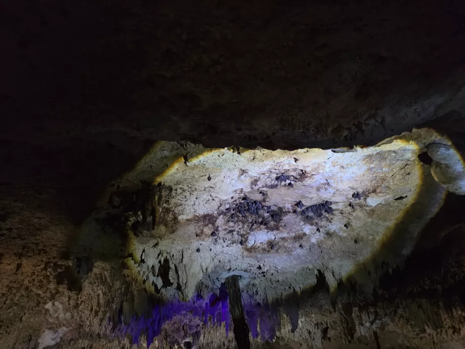 Gruta de Aktun Chen