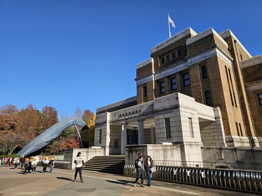 Museu de História Natural