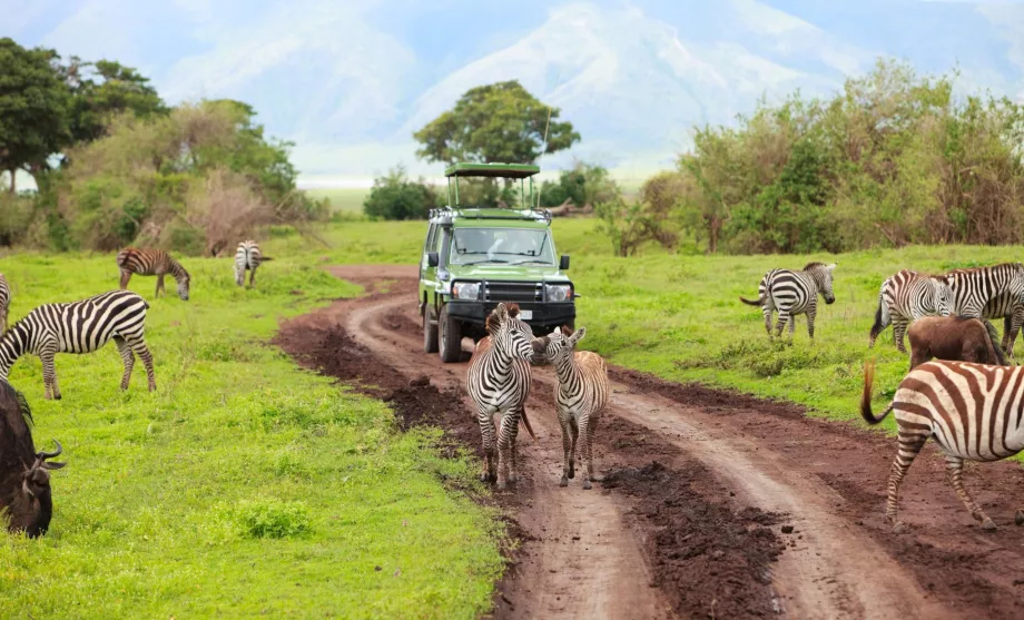 Carro num safari