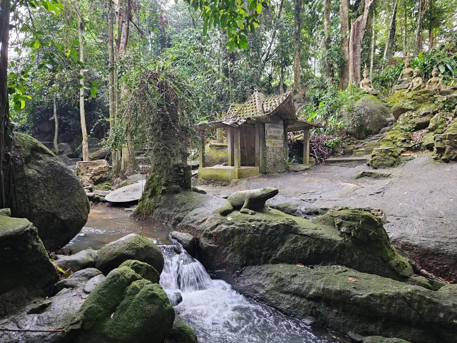 Jardim Mágico de Tamrin