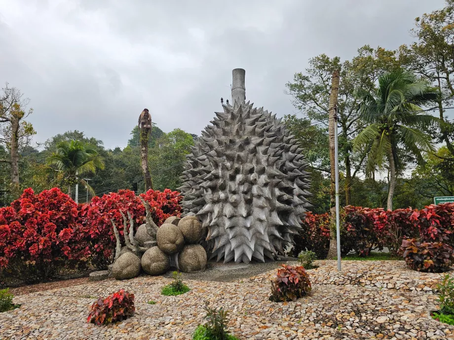 Frutos da Pedra Mágica